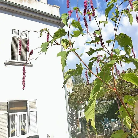Butkovic 312 Apartman